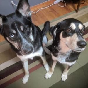 Meet your Posher, Michael